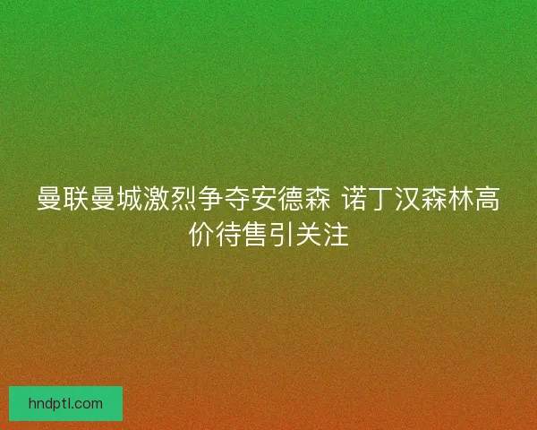 曼联曼城激烈争夺安德森 诺丁汉森林高价待售引关注