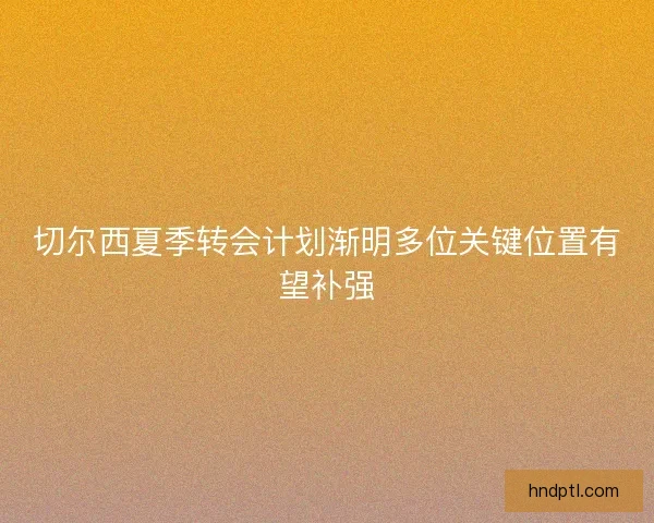 切尔西夏季转会计划渐明多位关键位置有望补强